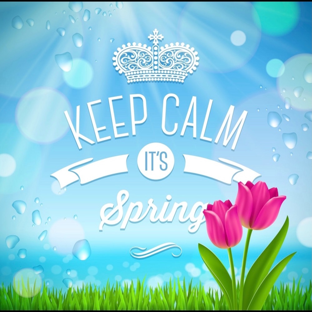 💐💐💐 SPRING SHARE GAME💐💐💐 - Picture 6 of 16